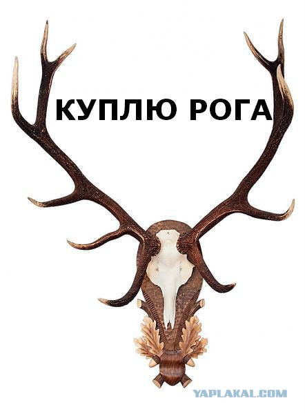 В измене виноваты оба?
