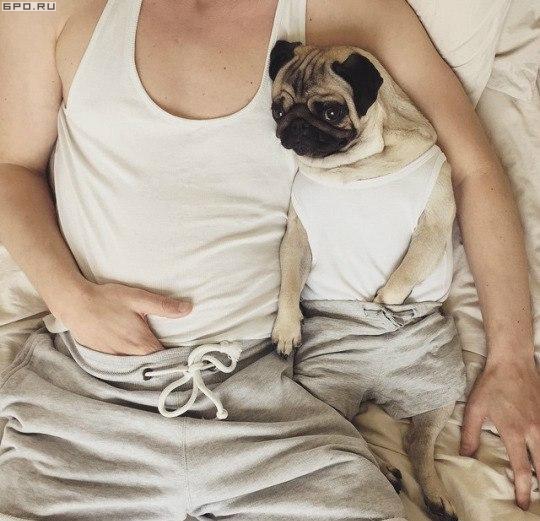 Подборка интересных и веселых картинок