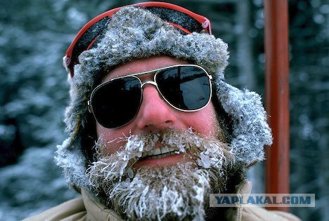 В России начались выборы в Госдуму