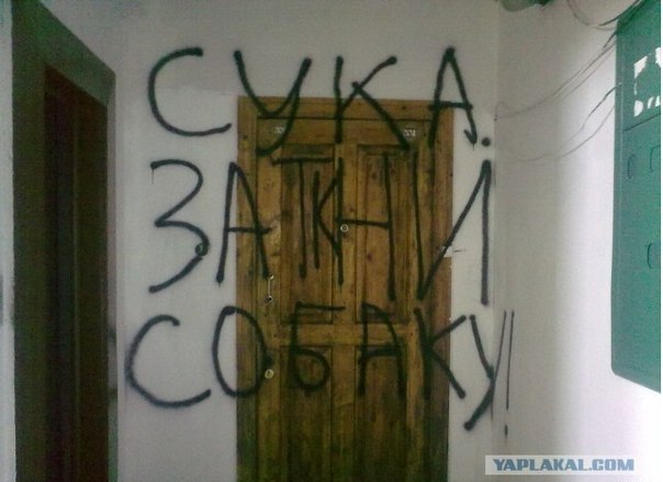 Россиян обяжут регистрировать домашних питомцев под угрозой штрафов