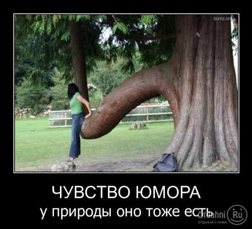 Подборка интересных и веселых картинок