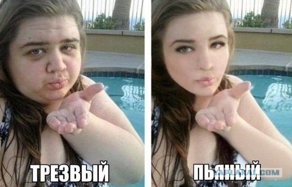 Клубные хищницы