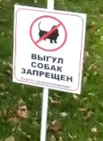 Пьяные в военной форме творят беспредел