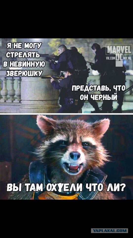 журнал деградант