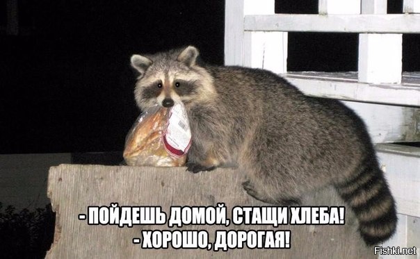 Просто юмор 7