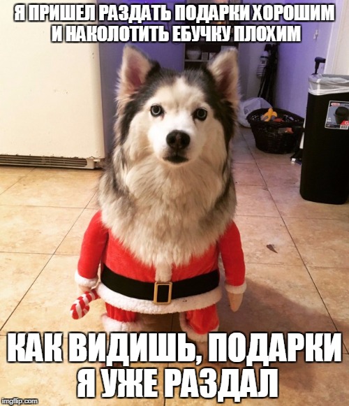 Подборка интересных и веселых картинок