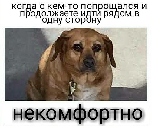 Предновогодняя распродажа