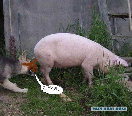 За секунду до...
