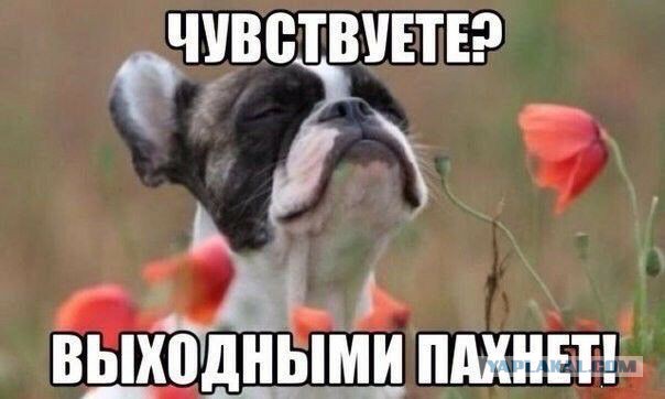 Алкопост на вечер этой пятницы