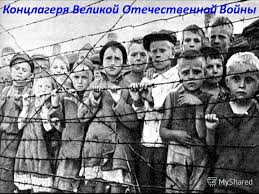Лагерная психология: переработка человека на фабриках смерти