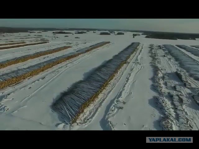 Ответ Навального генералу Золотову