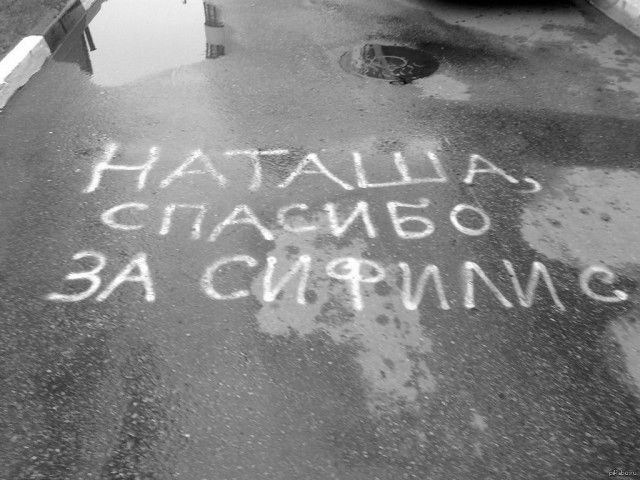 Скотсети и прочие интернеты 25.10.18