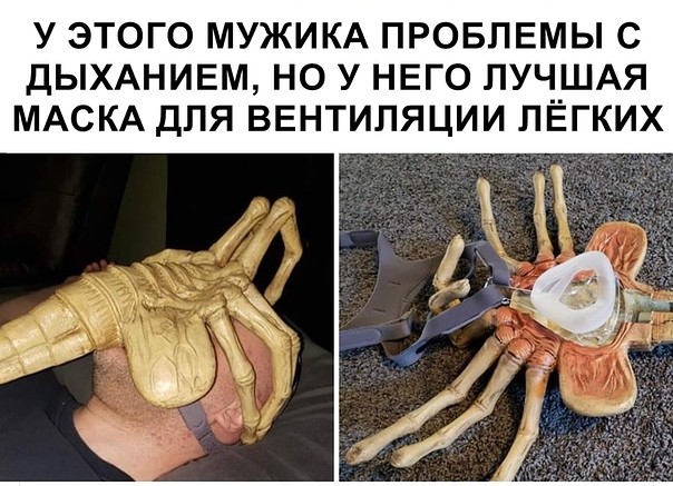 Чернушка на пятничку