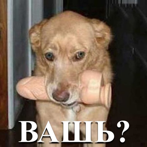Ой блин... что это?!