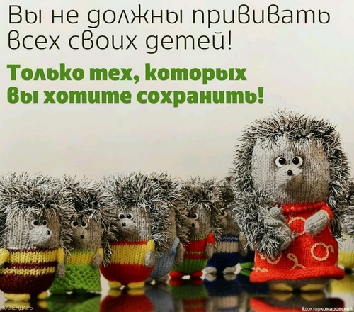 Минпросвещения предложило не пускать в школы детей без прививок
