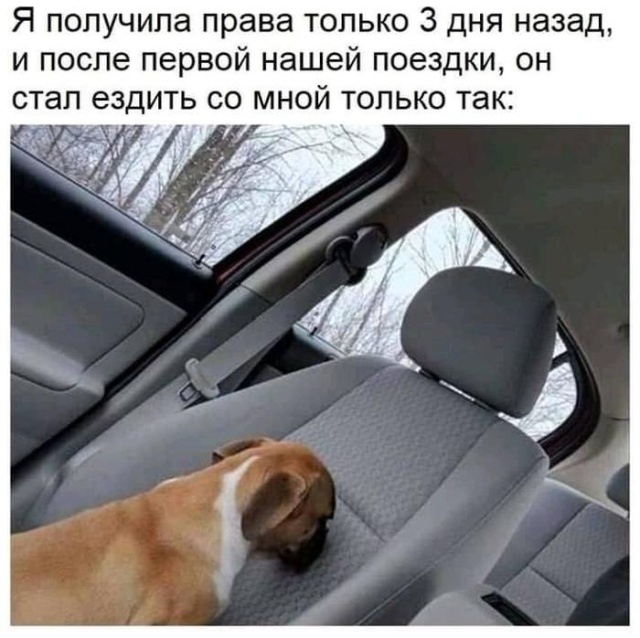 Анекдоты, истории и картинки с надписями