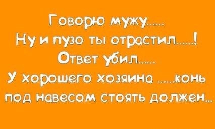 Применим физику в постели или белка и стрелка. Картинки