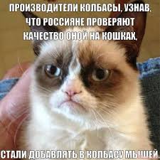 Из чего делают корм для кошек?