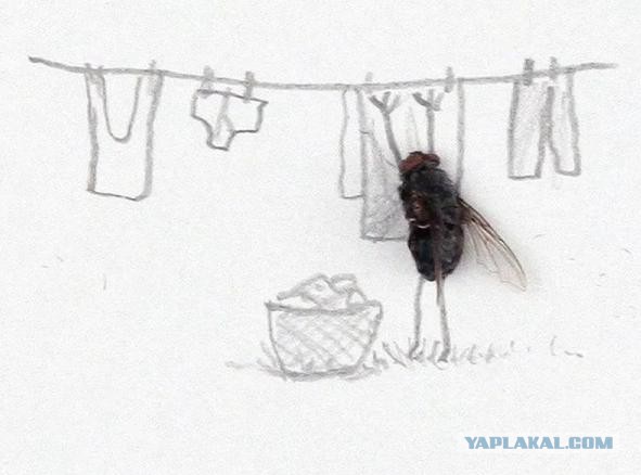 Мысль в полпятого утра