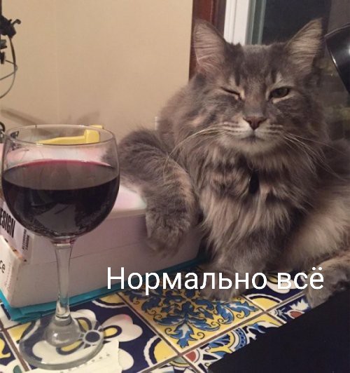 Картинки с надписями, истории и анекдоты 31.12.19