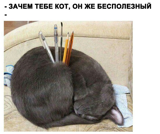 Немного картинок для настроения 17.01.20