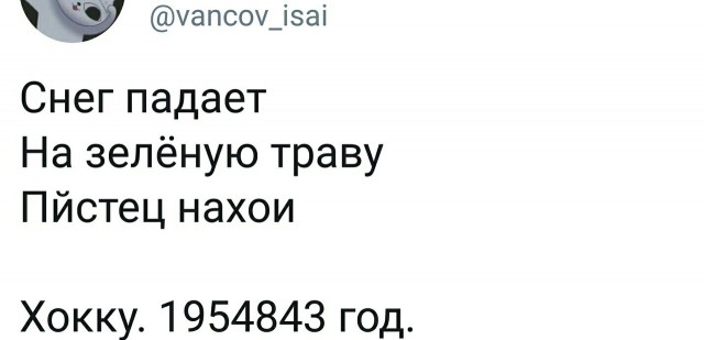 Свинегрет: картинки, надписи и прочее на 19.03 или №16