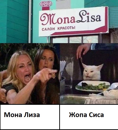 Мем "женщина кричит на кота" и его варианты