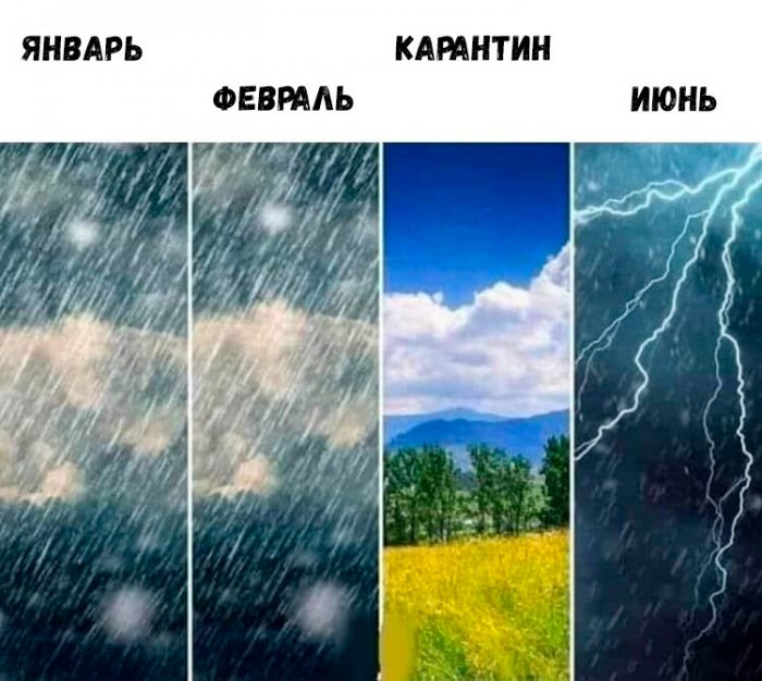 14399180.jpg