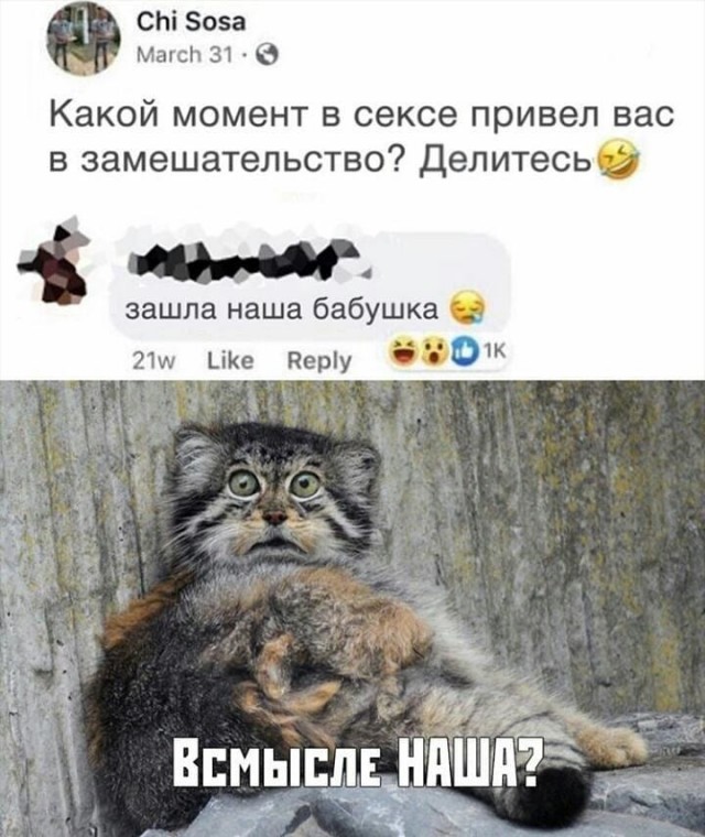 Бредзона 15.07.20