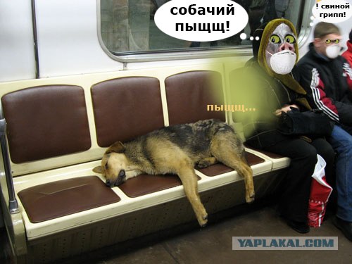 ЯП! Защитись от гриппа!