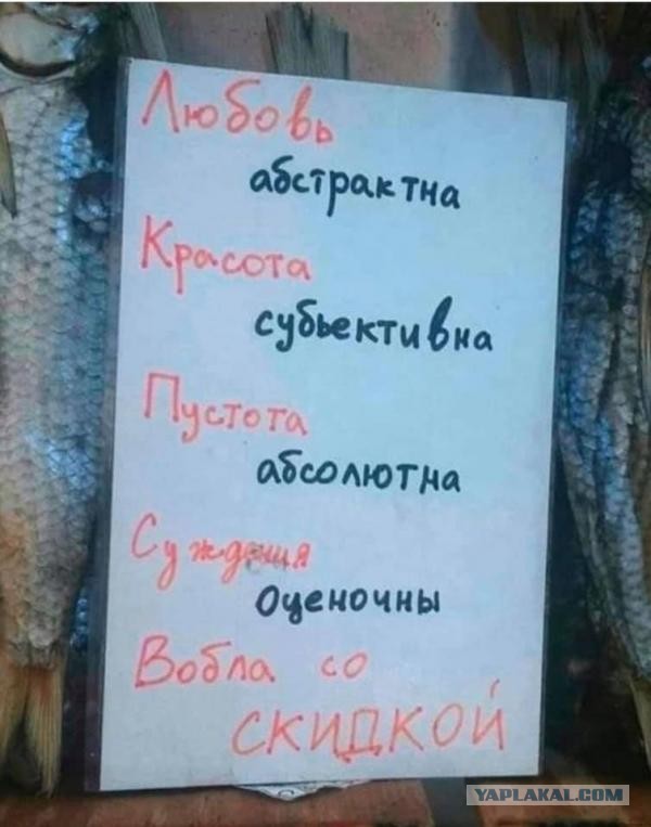 Бредзона 06.11.2020