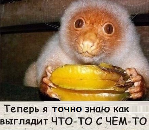 Картинки с надписями и всякие жизненные фразы 7.01.2021