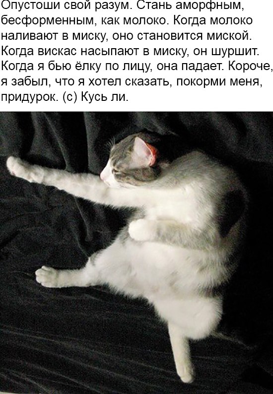 Картинки и мемы для настроения 011