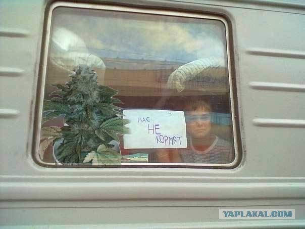 Фотожаба: Крик души