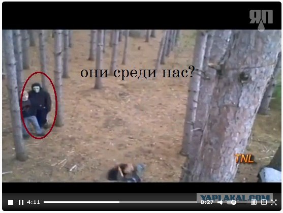 Эпикфейлы Ноября