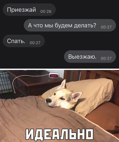 Картинки и мемы для настроения 020