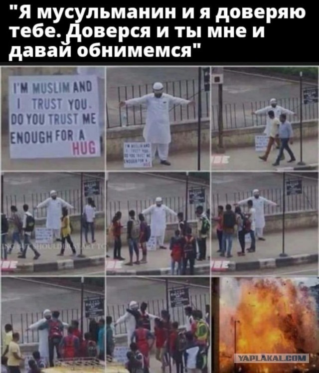 Такие мирные ребята - сама доброта