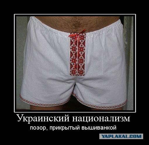 В Киеве анонсировали марш вышиванок в честь дивизии СС "Галичина"
