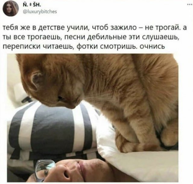 Картинки и мемы для настроения