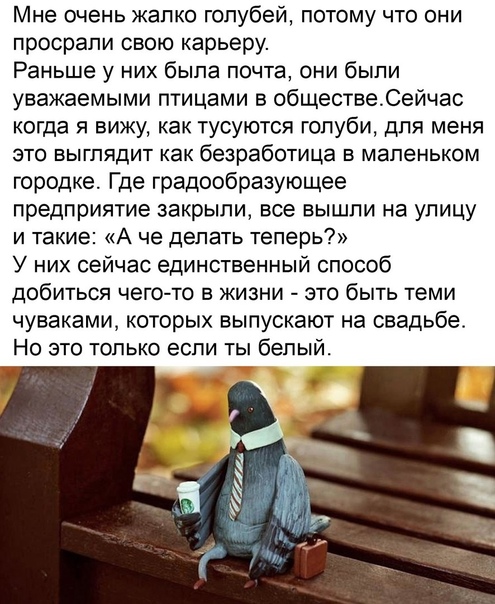 Баянисто-небаянистый юмор 15.06.21