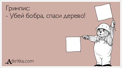 Российские леса постоянно горят, но их биомасса рекордно выросла. Как так вышло и что из этого следует?
