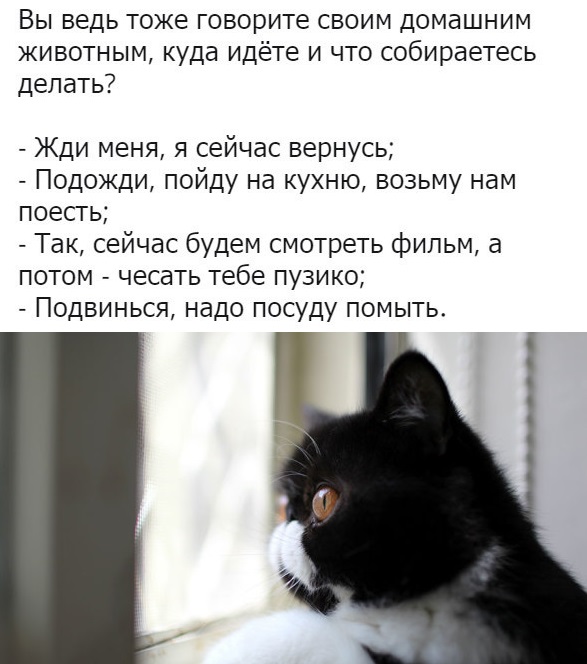 Картинки и мемы для настроения 24.08.2021