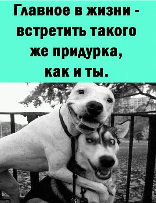 Картинки на пятницу 19.11.21