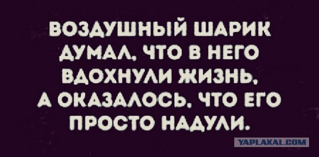Ответ "официалов" почему охранники и сотрудники ТЦ могут...