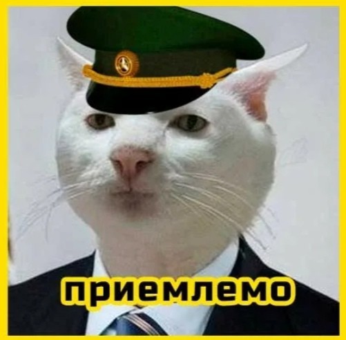 Санкции застали европейских арендодателей самолетов врасплох