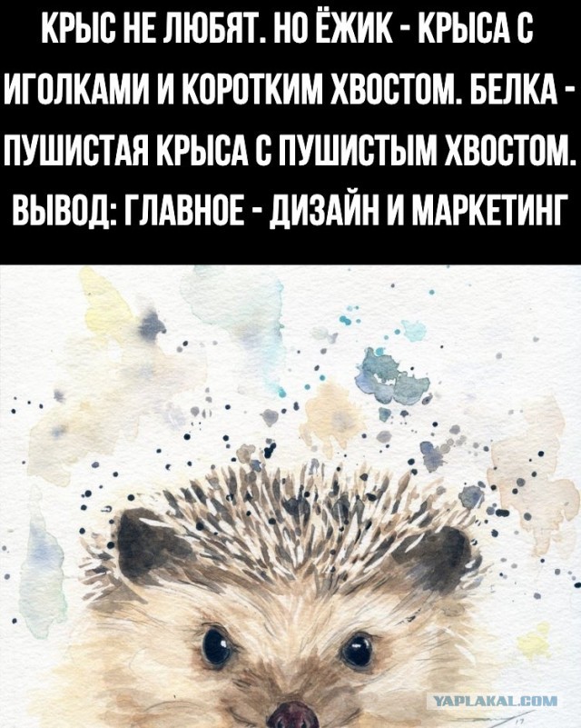 40 картинок разных 15.04.2022