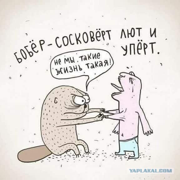 Композиция Маугли