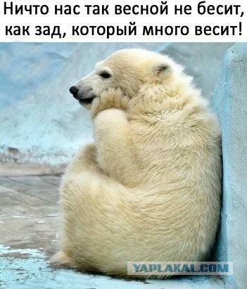 Пятница. И немного слегка пошлых картинок с надписями и без 16+ (22.04)