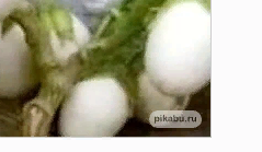 Природоведение