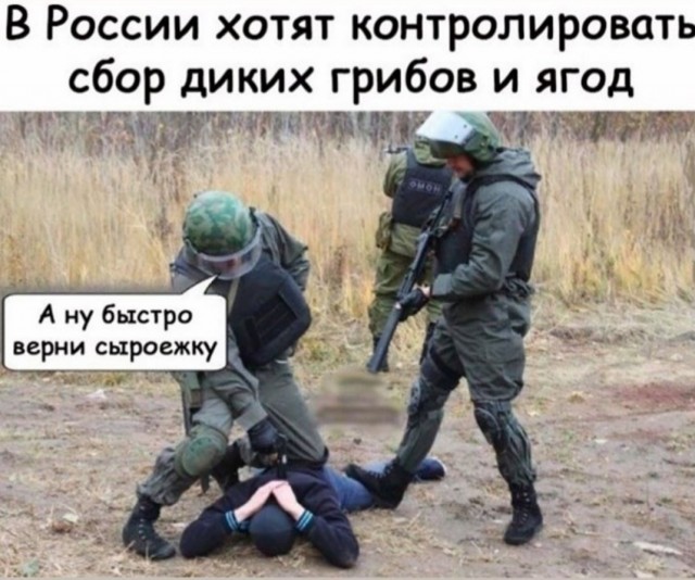 Так себе картинки 14.07.22